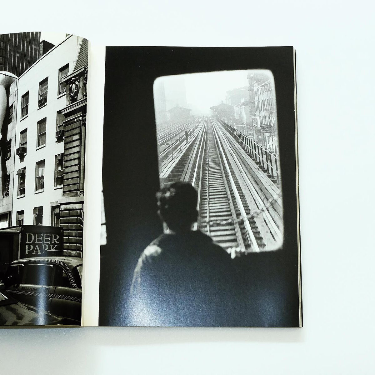 Elliott Erwitt' New York | Book Ernest Elliott Erwitt' New York | Book Ernest