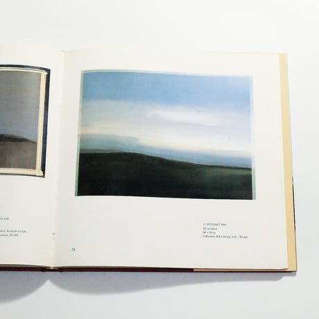 The Paintings of Sylvia Plimack Mangold