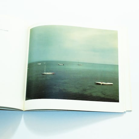 Cape Light: Color Photographs by Joel Meyerowitz