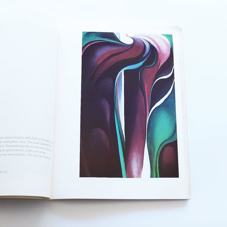 Georgia O′Keeffe: Painting