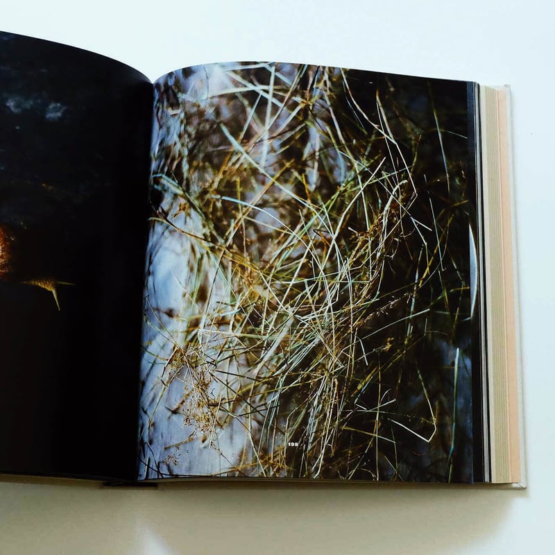 アート・デザイン・音楽 NOMA: Time and Place in Nordic Cuisine アート・デザイン・音楽 NOMA: Time and Place in Nordic