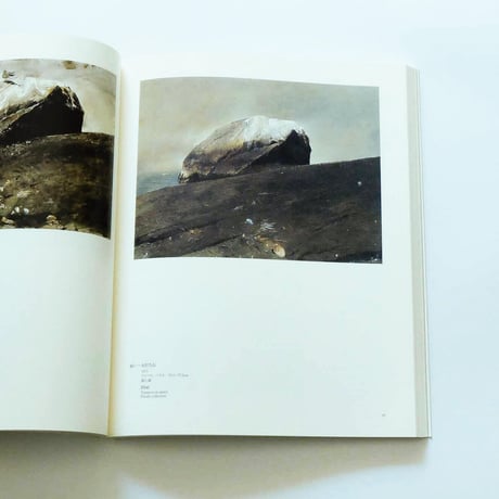 Andrew Wyeth: Emotion and Creation