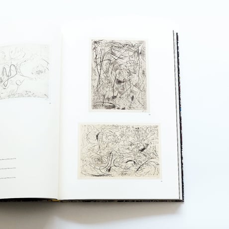 Jackson Pollock：生誕100周年ジャクソン・ポロック展