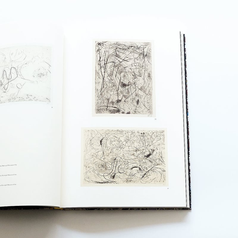 Jackson Pollock:生誕100周年ジャクソン・ポロック展 | Book Ernest Jackson Pollock:生誕100周年ジャクソン・ポロック展 | Book Ernest