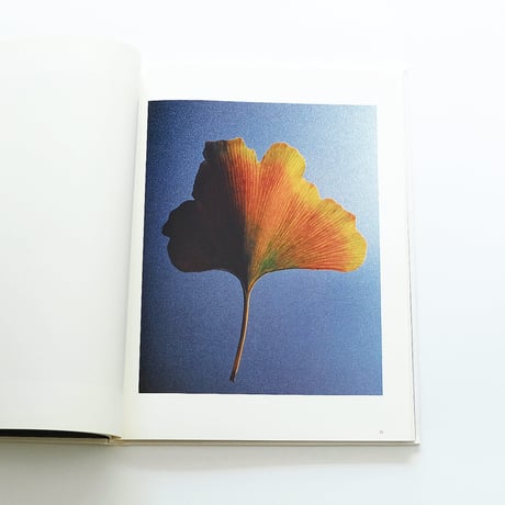 Fleur Olby: Plant Portraits
