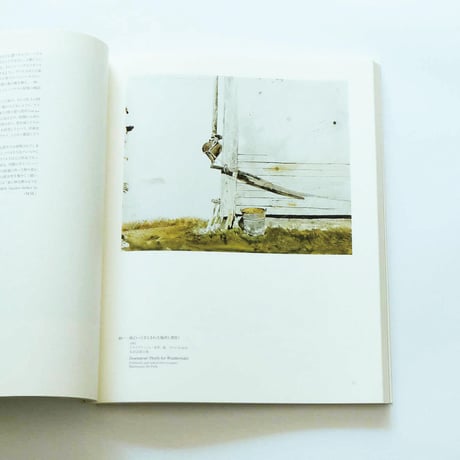 Andrew Wyeth: Emotion and Creation