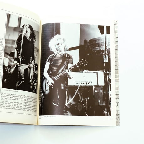 1988 The New Wave Punk Rock Explosion