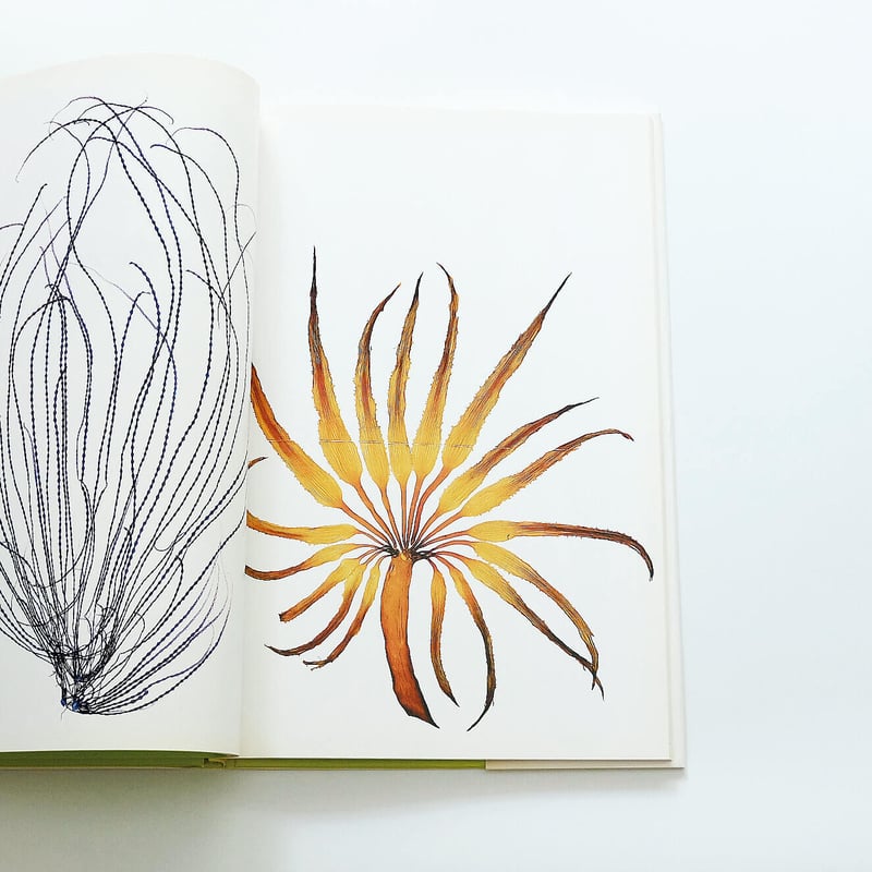 Nick Knight: Flora | Book Ernest