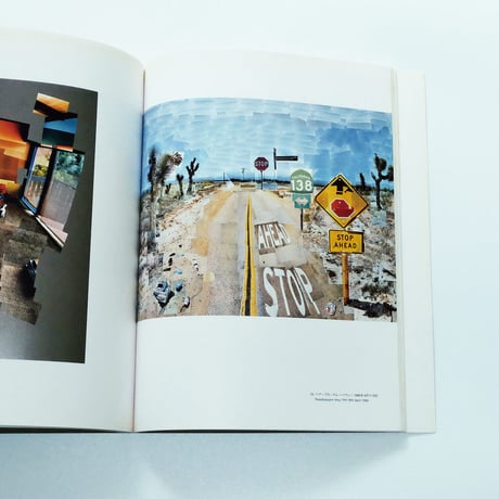 Hockney in California