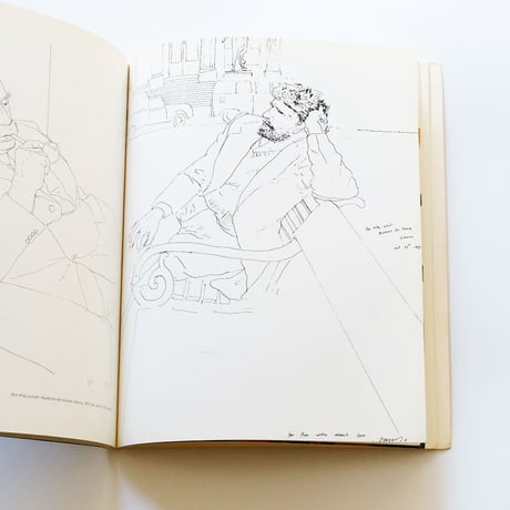 Pictures by David Hockney