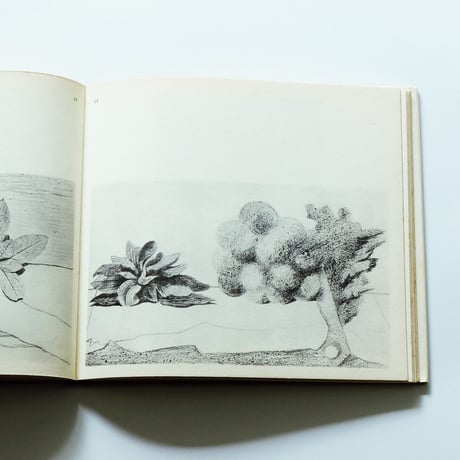 Max Ernst: Frottages