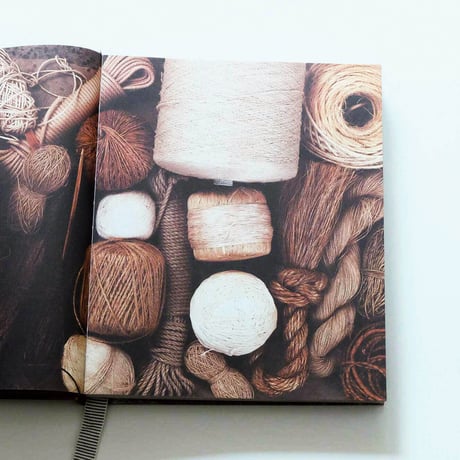 The Life of a Bowerbird by Sibella Court