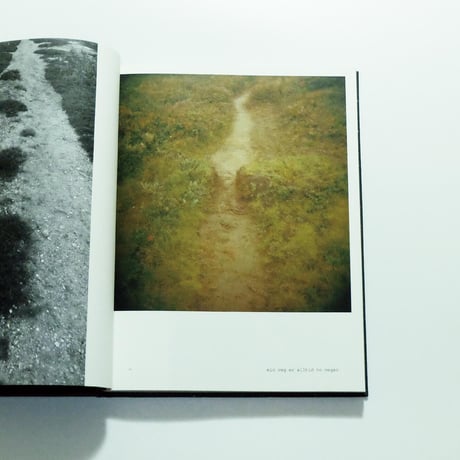being transported and rapt in secret studies by Margareta Bergman