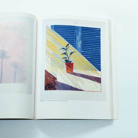 Hockney in California