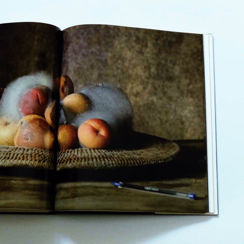 Sam Taylor-Wood: Hayward Gallery | Book Ernest