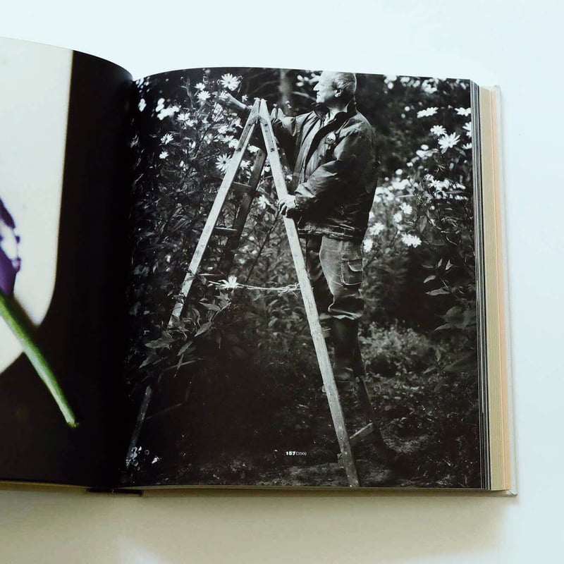 Noma: Time and Place in Nordic Cuisine | Book E