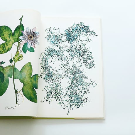 Nick Knight: Flora