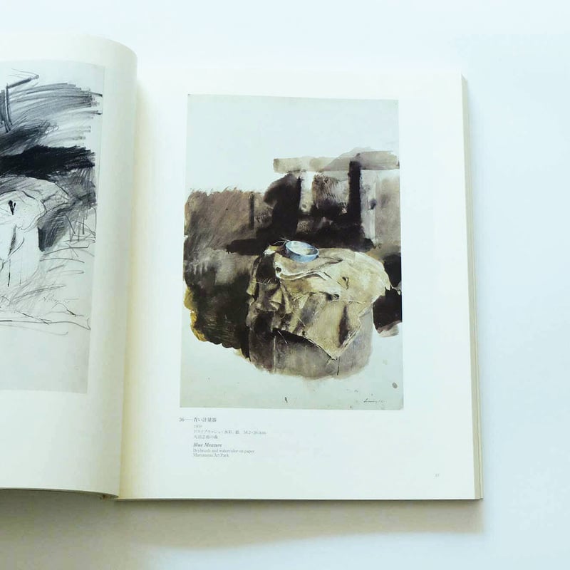 Andrew Wyeth: Emotion and Creation | Book Ernest