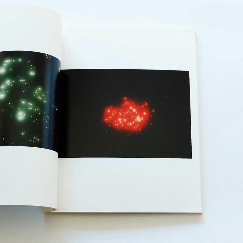 Rika Noguchi: The Light | Book Ernest