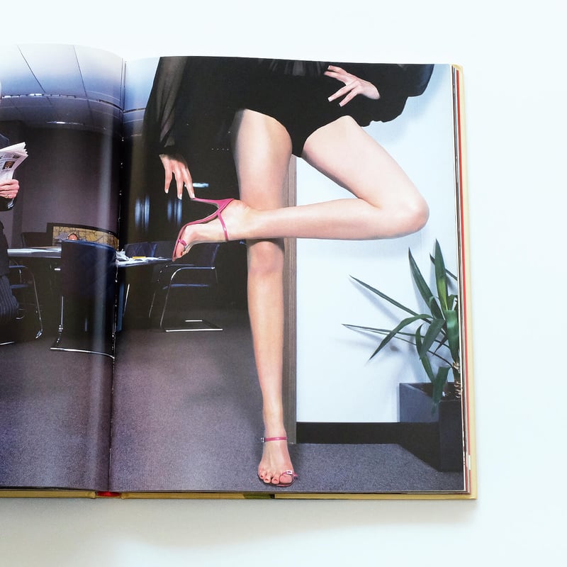 The Impossible Image | Book Ernest