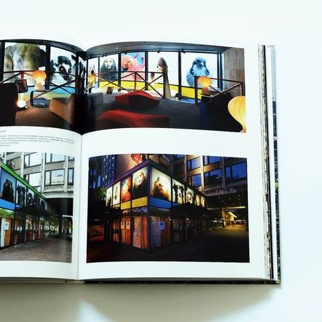 Paola Pivi: Perrotin