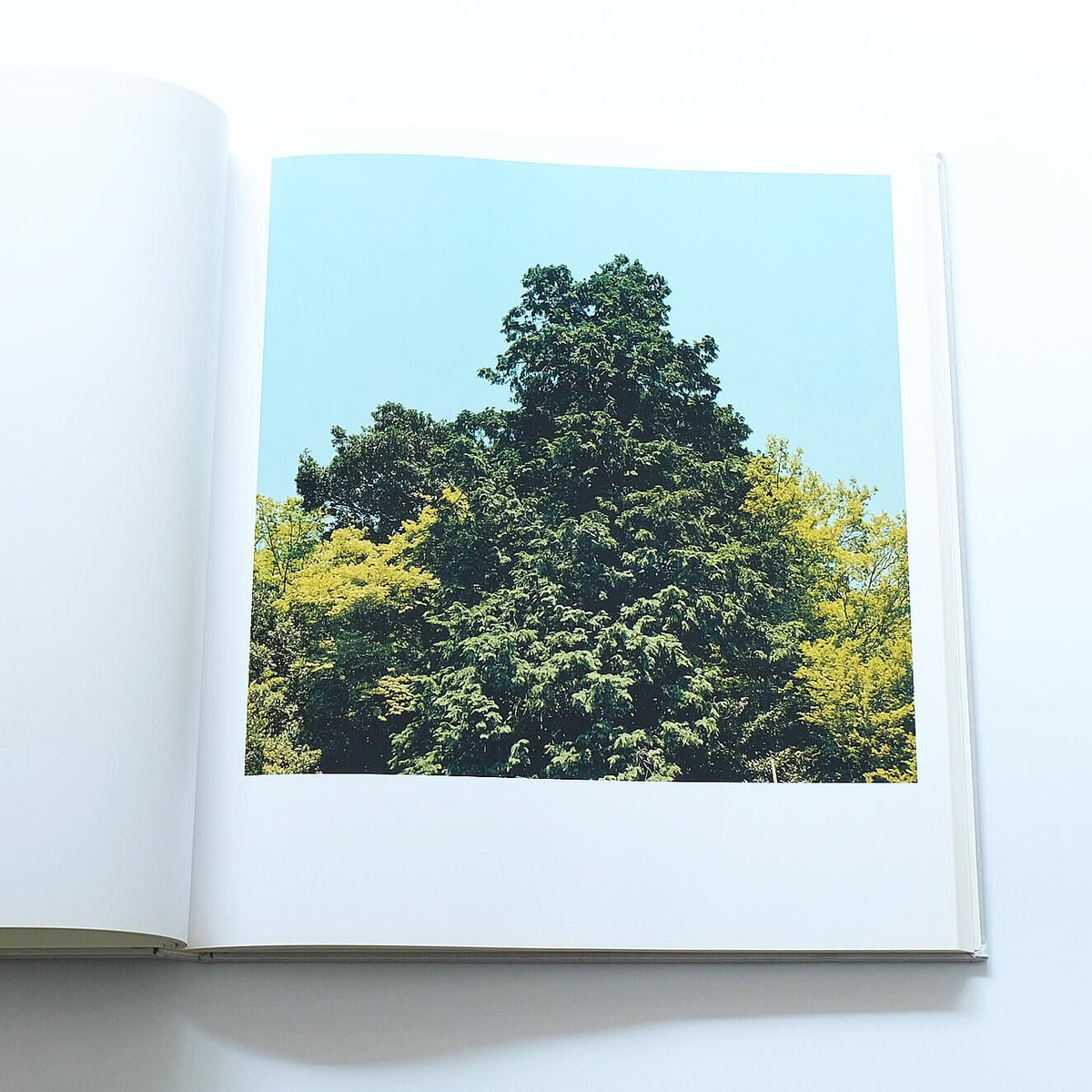 澁谷征司：Birth | Book Ernest