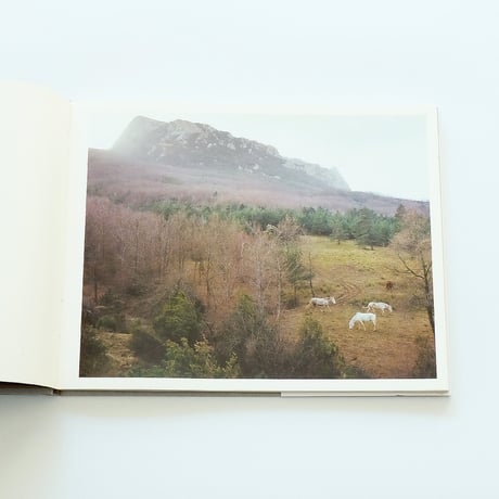Yvette Monahan: The Time of Dreaming the World Awake