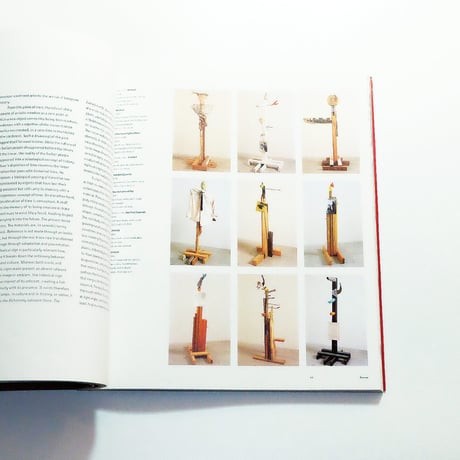 Jimmie Durham: Phaidon Contemporary Artists Series