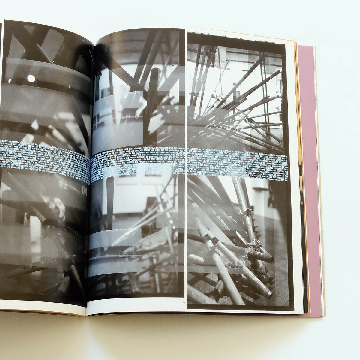 Process; A Tomato Project | Book Ernest