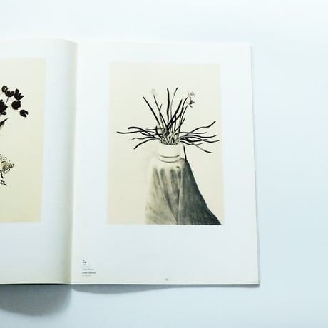 The Prints of David Hockney
