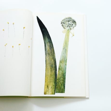 Nick Knight: Flora