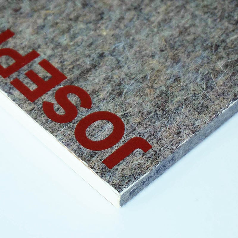 Josef Beuys with Fat and Felt | Book Ernest