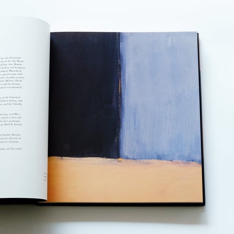 Sean Scully: Wall of Light
