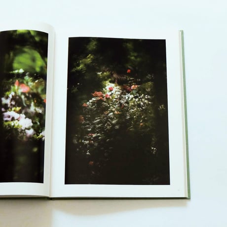 Terri Weifenbach: The may sun