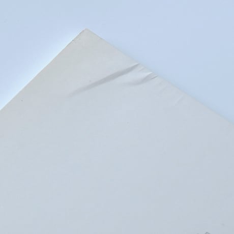 Dessau Aid Bauhaus: Architecture in Detail