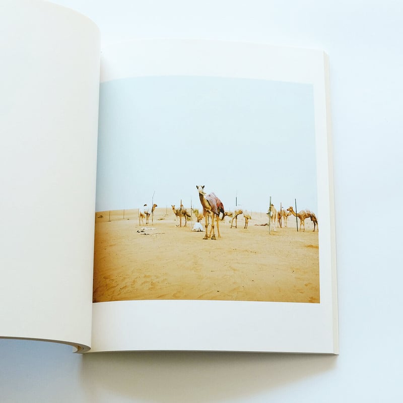 美品　光・野口理佳 The Light 写真集　希少 光 野口里佳 The Light: NOGUCHI Rika - books used and new