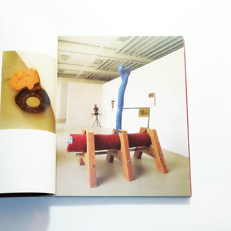 Jimmie Durham: Phaidon Contemporary Artists Series