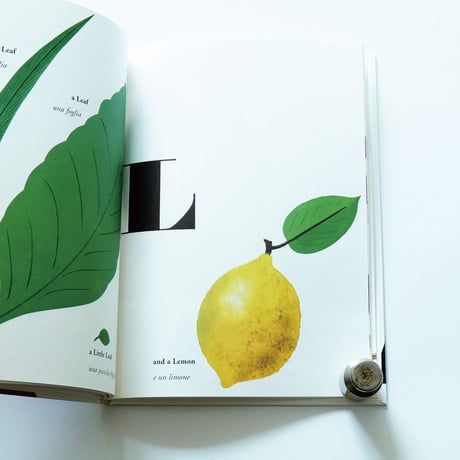 Bruno Munari′s ABC