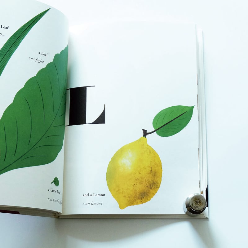 Bruno Munari′s ABC | Book Ernest