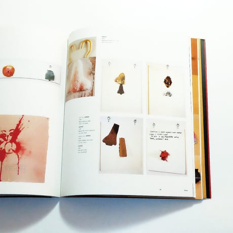 Jimmie Durham: Phaidon Contemporary Artists Series