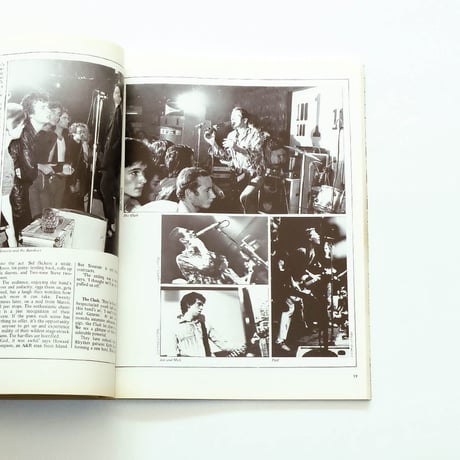 1988 The New Wave Punk Rock Explosion