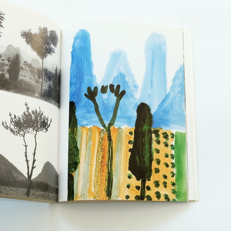 China Diary: Stephen Spender, David Hockney | B