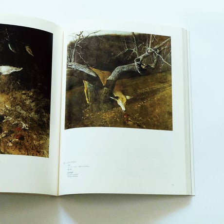 Andrew Wyeth: Emotion and Creation