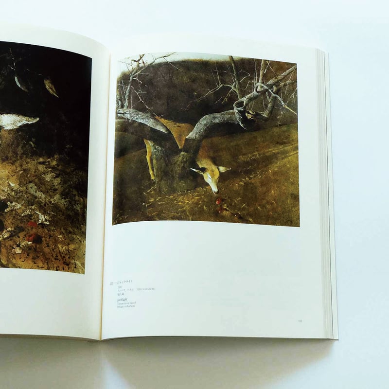 Andrew Wyeth: Emotion and Creation | Book Ernest