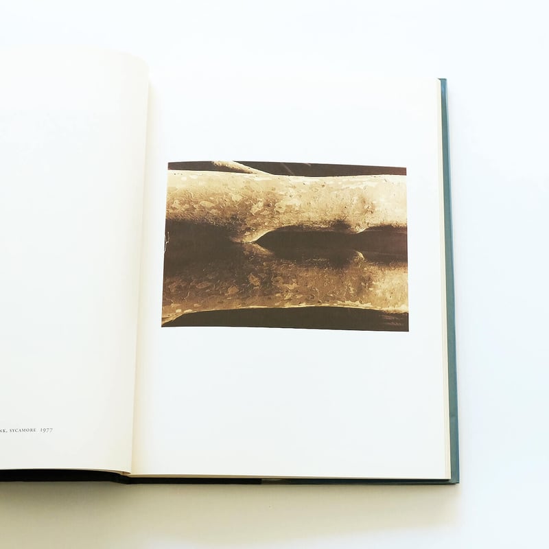 シーラ・メッツナー写真集『Color』Sheila Metzner Sheila Metzner: Color | Book Ernest