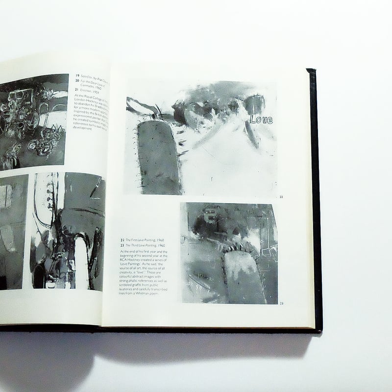 Portrait of David Hockney | Book Ernest