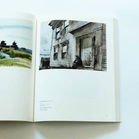 Andrew Wyeth: Emotion and Creation