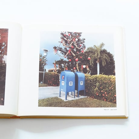The New Color Photography