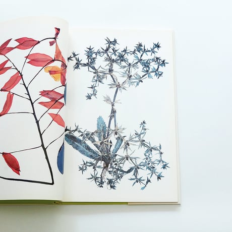 Nick Knight: Flora