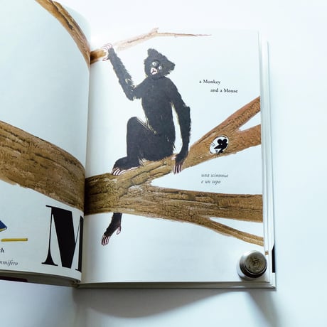 Bruno Munari′s ABC